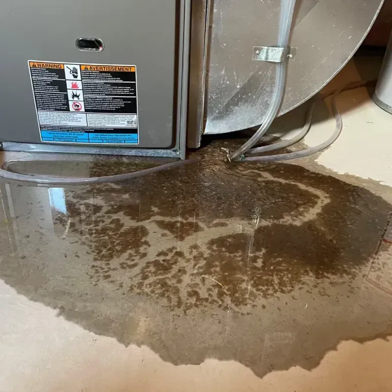 Appliance Leak Cleanup in Jerome, PA